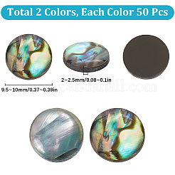 100 Stück 2 Stile natürliche Abalone Muschel/Paua Muschel Cabochons SHEL-SC0001-42
