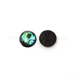 Paua Shell Cabochons SHEL-WH0001-002B