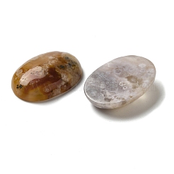 Natürliche Kirschblüten-Achat-Cabochons G-N343-05
