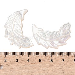 Natürliche weiße Muschel-Cabochons geschnitzt SSHEL-C012-03