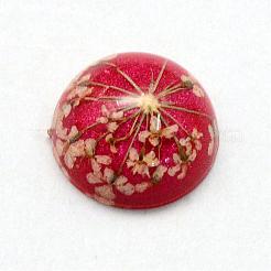 Harz Cabochons RESI-S320-12mm-32
