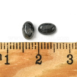 Natürliche Larvikit-Cabochons G-A094-01A-07