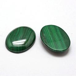 Oval natürliche Malachit cabochons G-O147-03I