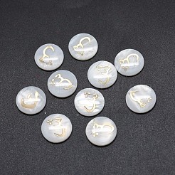 Shell Cabochons SSHEL-E568-B08