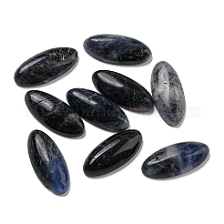 Natürliche Sodalith Cabochon G-B050-24B