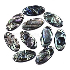 Natürliche Abalone Muschel / Paua Muschel Cabochons SSHEL-N034-74