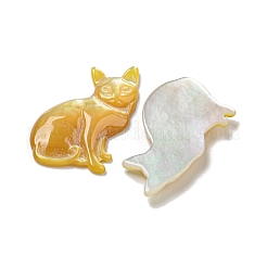 Natürlicher gelber Schal cabochons SSHEL-N038-05B