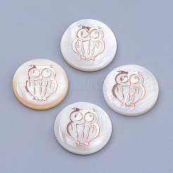 Süßwasser Shell Cabochons BSHE-S622-06