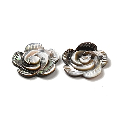 Rose schwarz Lippe Shell Cabochons SSHEL-E553-09