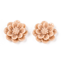 Harz Cabochon CRES-B3259-A80