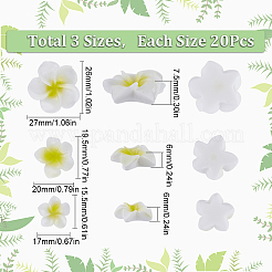 60 Stück 3 Arten undurchsichtige Harz Cabochons RESI-SC0002-78