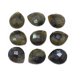 Natur Labradorit Cabochons G-L514-009