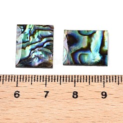Natürliche Paua-Muschel-Rechteck-Cabochons SSHEL-T017-11
