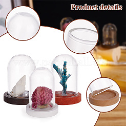 10 Stück Mini-Glaskuppeln AJEW-PH0004-32B