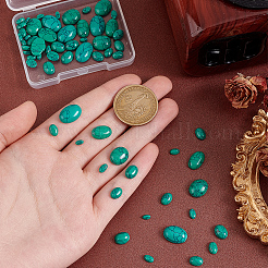 66 Stück 8 Stile gefärbte synthetische türkisfarbene Cabochons G-PH0002-67