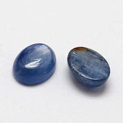 Ovale Cabochons aus natürlichem Zyanit / Zyanit / Disthen G-O147-01A