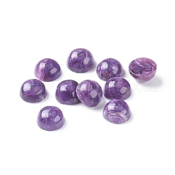 Natürliche Charoite Cabochons G-E557-08A