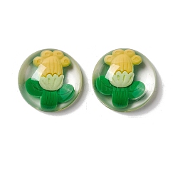 Cabochons aus transparentem Blütenharz RESI-G034-B01