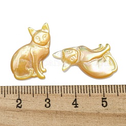 Natürlicher gelber Schal cabochons SSHEL-N038-05B
