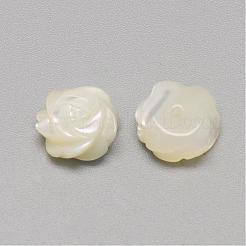 Natürliche weiße Muschel Perlmutt Muschel Cabochons SSHEL-R042-11
