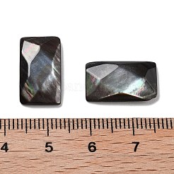 Natürliche schwarze Lippe Shell Cabochons SSHEL-D084-02A