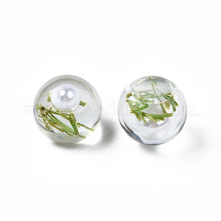 Durchscheinende Acryl-Cabochons TACR-N006-14B