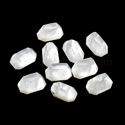 Weiße Schale Cabochons SSHEL-Z001-01