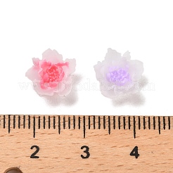 Leuchtende Decoden-Cabochons aus Harz RESI-K036-06F
