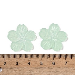 Durchscheinende Decoden-Cabochons aus Epoxidharz CRES-S367-05