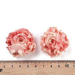 Synthetische Muschel-Cabochons CORA-B001-06