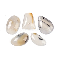 Natürliche Achat Cabochons G-Q164-02