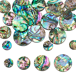 20 Stück 4 Stile natürliche Abalone Muschel/Paua Muschel Cabochons SHEL-WR0001-07
