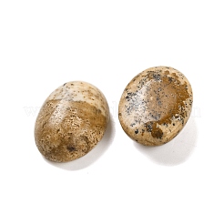 Natur Bildjaspisses cabochons G-B085-06D-03