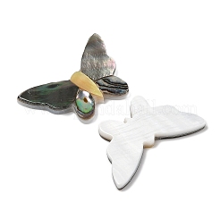 Natürliche schwarze Lippenmuschel & Paua-Muschel & gelbe Muschel-Cabochons SSHEL-I026-25
