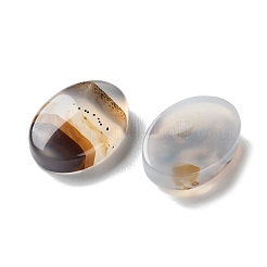 Natürliche dendritische Achat-Cabochons G-B138-01