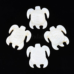 Natürliche Süßwasser Muschel Cabochons SHEL-S276-163
