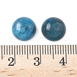 Natürliche Apatit-Cabochons G-S398-01A-01