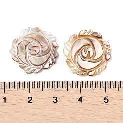 Natürliche schwarze Lippenmuschel geschnitzte Cabochons SSHEL-I026-16