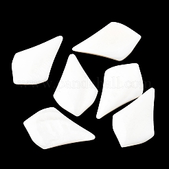 Natürliche Süßwasser Muschel Cabochons SHEL-K006-04