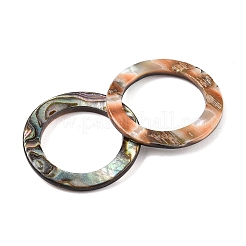 Natürliche Abalone Muschel / Paua Muschel Cabochons SHEL-T020-10B
