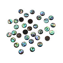 Paua Shell Cabochons SHEL-WH0001-002B