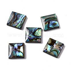 Natürliche Paua-Muschel-Epoxidharz-Cabochons SSHEL-S279-01H