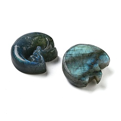 Natürlicher Labradorit geschnitzte Cabochons G-C152-09