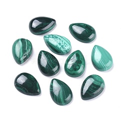 Natur Malachit Cabochons G-R476-03