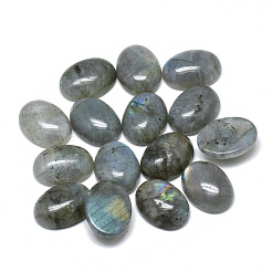 Natur Labradorit Cabochons G-T073-20-10x14