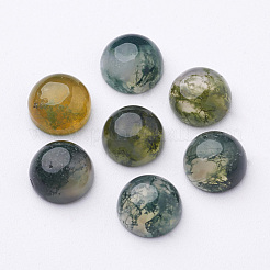 Natur Moos Achat Cabochons G-MOSS8x4