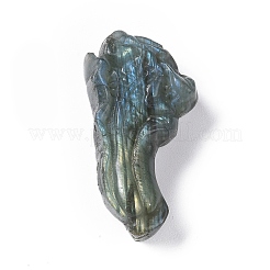 Natur Labradorit Cabochons G-G985-10