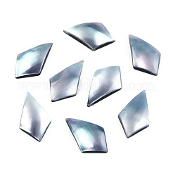 Natürliche Turbo Cornulus/Top Shell Cabochons SSHEL-N003-154