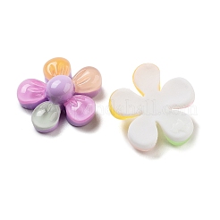 Durchscheinende Decoden-Cabochons aus Harz RESI-B027-02