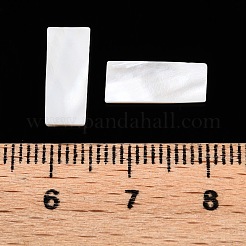 Natürliche weiße Muschel cabochons SSHEL-T017-07